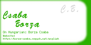 csaba borza business card